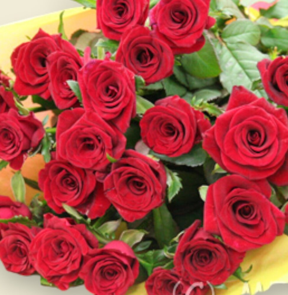 赤薔薇/花束/記念日/誕生日